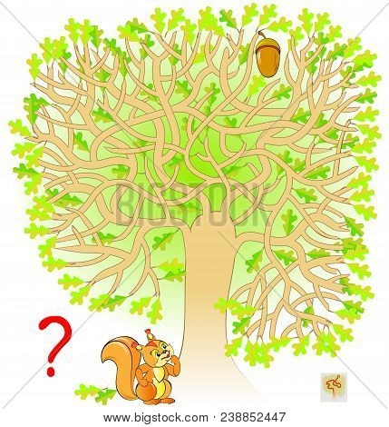 Logic Puzzle Game With Labyrinth For Children And Adults. Help The Squirrel Find The Way To The Acor