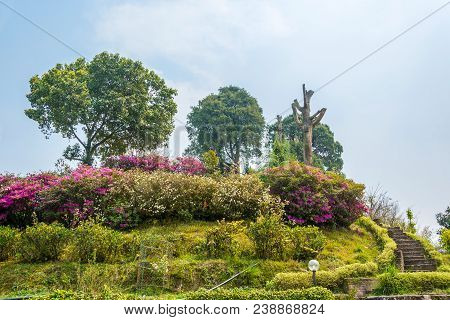 Bright Flowering Shrubs In The Park Of The Buddhist Monastery Kapal On A Sunny Day, Kathmandu, Nepal