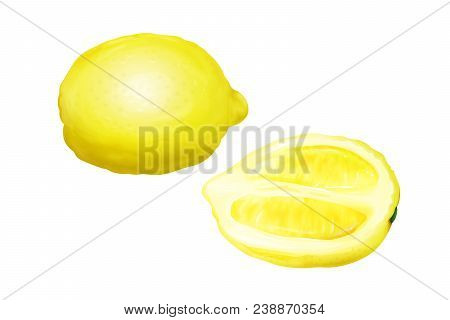 Lemon Vector Illustration Of Citrus Fruit Whole And Half Cut In Slice. Realistic Fresh Juicy Lemon D