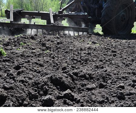 Planting Potatoes And Tomatoes In Chernozem - Digging A Shovel, Plowing The Land With A Tractor