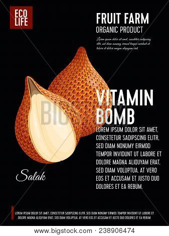 Packaging Label. Concept Design With Inscription. Salak Fruit. Vector Flat Poster Template With Text