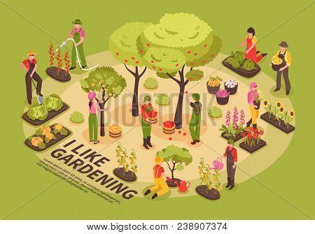 Gardening Infographic Elements Composition Isometric Poster With Trees Flowers  Planting Vegetables 