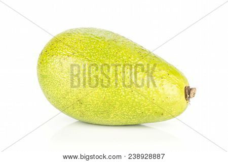 One Green Smooth Avocado Isolated On White Background Ripe Shiny Bacon Variety
