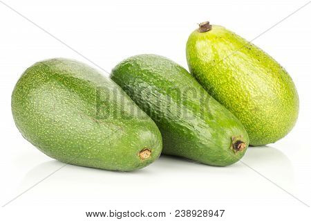 Three Green Smooth Avocado Isolated On White Background Ripe Bacon Variety
