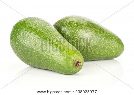 Two Green Smooth Avocado Isolated On White Background Ripe Shiny Bacon Variety