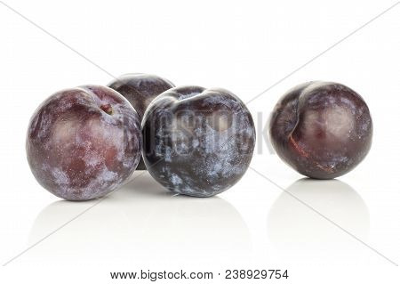 Four Red Blue Plums Isolated On White Background Round Whole Fresh Juicy Fruit