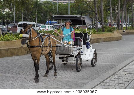 Girl In Hat On Coach With Brown Horse. Tourist Attraction On Street. Vintage Coach With Horse. Cute 