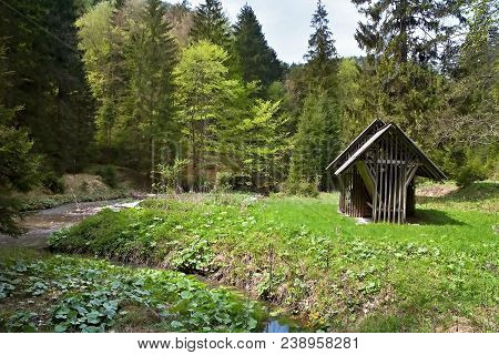 Cratch For Forest Animals In Gader Valley In Great Fatra. Animal Care In The Woods.