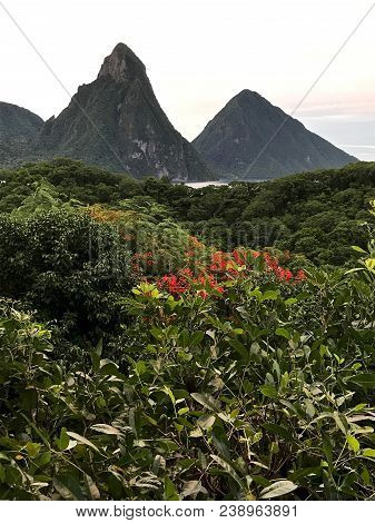 Petit Piton And Gros Piton Of St Lucia