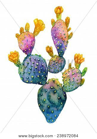 Watercolor Hand Drawn Cactus. Opuntia Blooming With Yellow Flowers. Botanical Trendy And Bright Illu