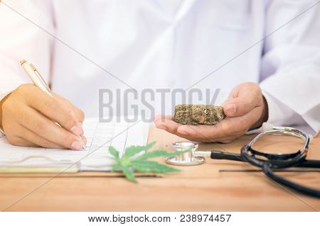 Doctors Write Prescriptions, And Medical Marijuana On A Table Close Up.