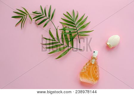 Stylish Bottle Of Perfume With Spray Of Palm Green Leaves On Pink Background. Creative Trendy Flat L