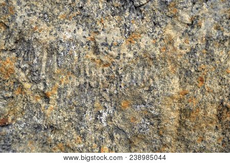 Gray-ocher Granite Background, Close Up, Texture Stone