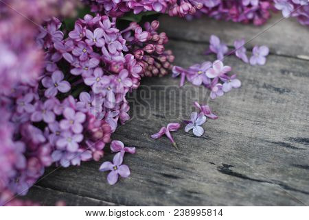 Spring Flowers. Lilac Flowers Frame On White Wooden Background. Top View, Flat Lay