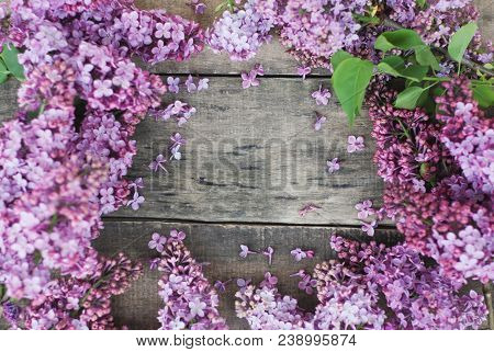 Spring Flowers. Lilac Flowers Frame On White Wooden Background. Top View, Flat Lay