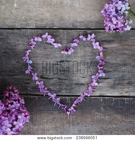 Purple Heart Shape From Lilalc Flowers. Spring Time. Textured Wooden Board.