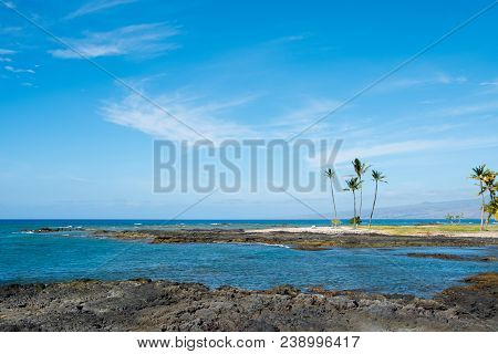 Tropical Paradise Amidst The Lava Flows And White Sand Beaches And Mauna Lani Bay On The Big Island 