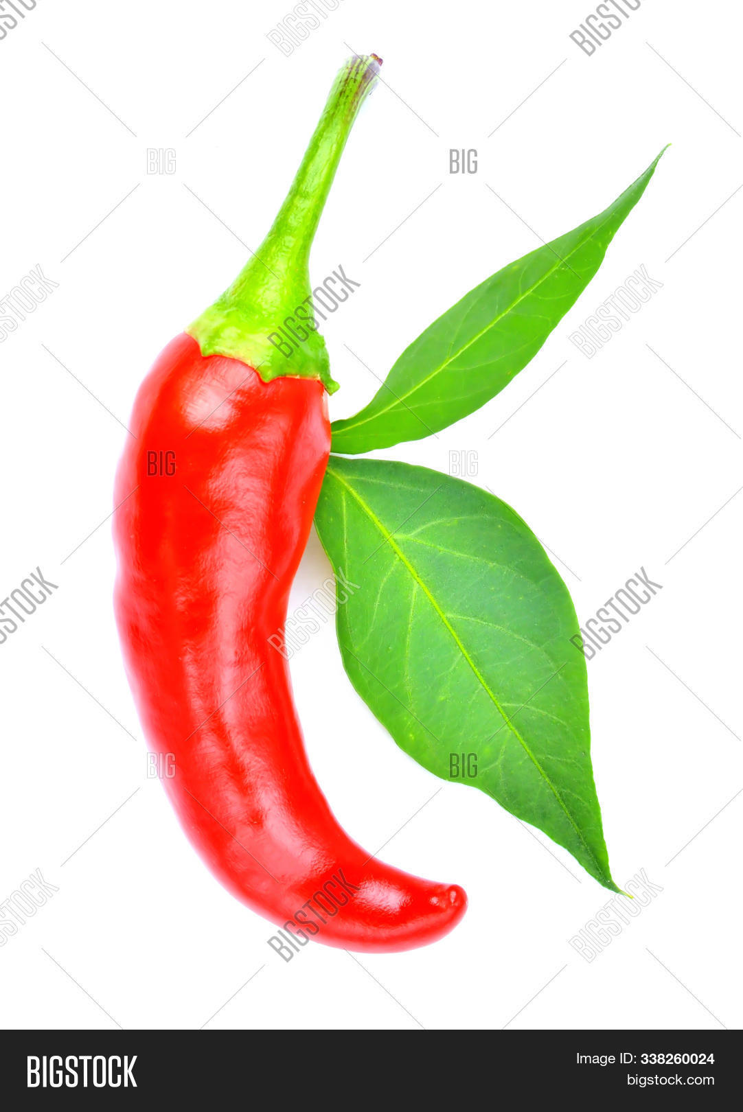 Chilli Pepper Spice Image & Photo (Free Trial) Bigstock