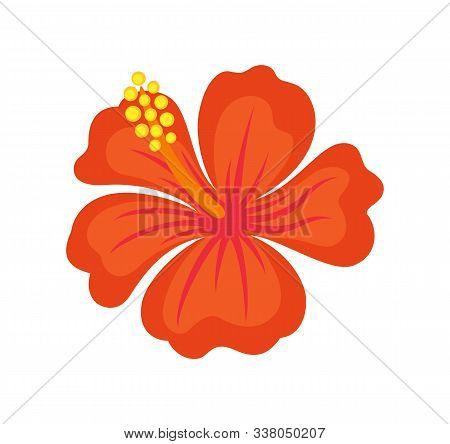 Flower With Pollen, Blossom Closeup, Postcard Decorated By Bloom Plant With Red Petals. Element Of B