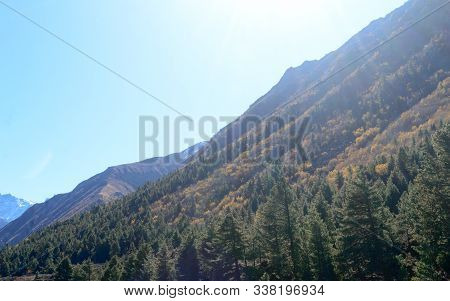 Landscape Photography Of Mountain Valley Covered With Forest Trees In Sunset. Sunlight Illuminating 
