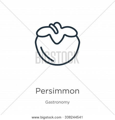Persimmon Icon. Thin Linear Persimmon Outline Icon Isolated On White Background From Gastronomy Coll