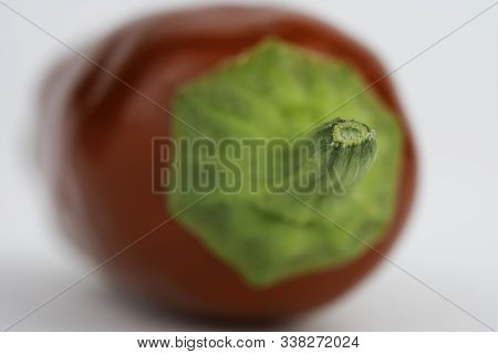 Macro Photo Of A Red Hot Chili Pepper. Focus On The Tip Of The Stem. Side View, Flat. Chili Saltillo