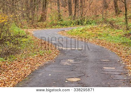 A Deserted Winding Forest Road Goes Deep Into The Forest.  Autumn Forest Trail Is Covered With Yello