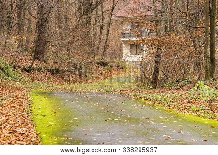 A Deserted Winding Forest Road Leads To A Small Building. Autumn Forest Trail Is Covered With Yellow