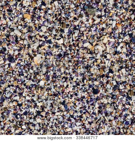 Seamless Texture Of Wet Crushed Shells Beach, Macro. Crushed Shells, Stones And Sand Seamless Patter