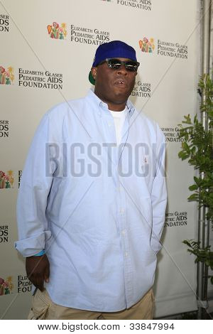 LOS ANGELES, CA - 3 giu: Vince Wilburn Jr a 23 annuale 'un tempo per gli eroi' Celebrity Picnic essere