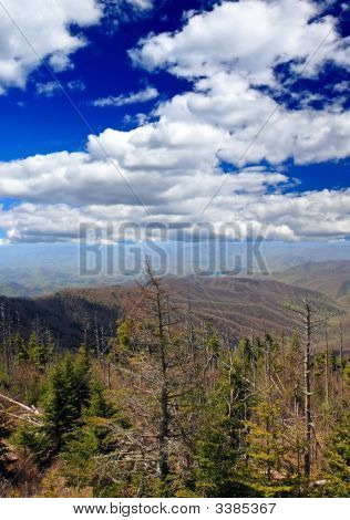 Smoky Mountain National Park