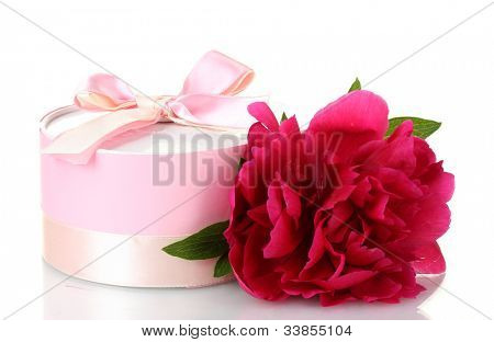 beautirul-de-rosa flor de presente e peônia isolado no branco