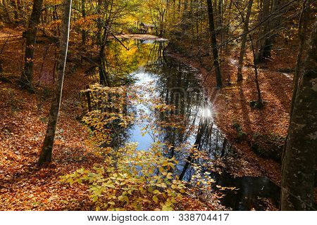 Sazli Lake In Yedigoller National Park, Bolu City, Turkey