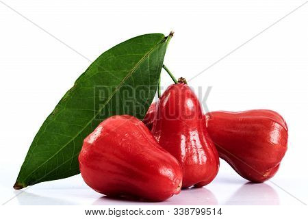 Rose Apple Or Chomphu On White Background