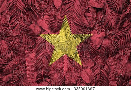 Vietnam Flag Depicted On Many Leafs Of Monstera Palm Trees. Trendy Fashionable Backdrop