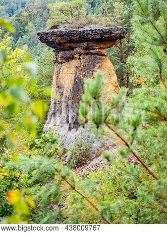 Poklicky Unique Sandstone Table Rock Formation, Kokorin Protected Landscape Area, Fores