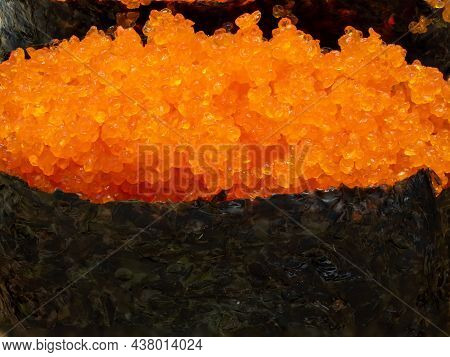Sushi With Shrimp Roe Or Flying Fish Roe Macro Photography Ebiko Sushi Set Is A Japanese Term For A 