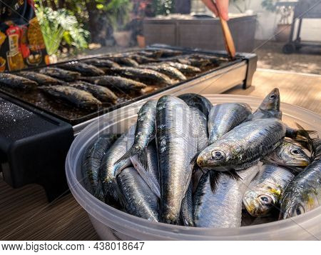 Fresh Raw Sardine For Grill Plate. Prepared Spanish Pilchard Style. Fish Cleaned