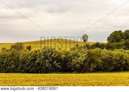 Teletubbies Wannabe House In Latvia. Green, Yellow, Brown Hill Surrounded With Bushes And Several Bi