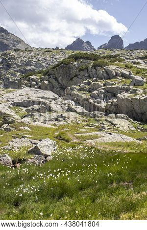 Landscape Of Rila Mountain Near The Scary Lake, Bulgaria