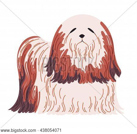 Pedigree Hairy Dog Breed Lhasa Apso Vector