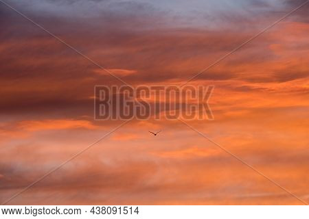 Sunset Red Sky With Clouds Horizontal Background