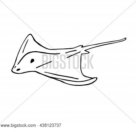 Vector Hand Drawn Doodle Sketch Skate Fish Devil Fish Isolated On White Background