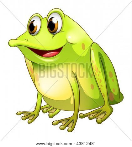 Иллюстрация зеленый bullfrog на белом фоне