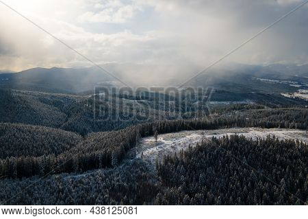 Winter Landscape With Spruse Trees Of Snow Covered Forest In Cold Mountains.