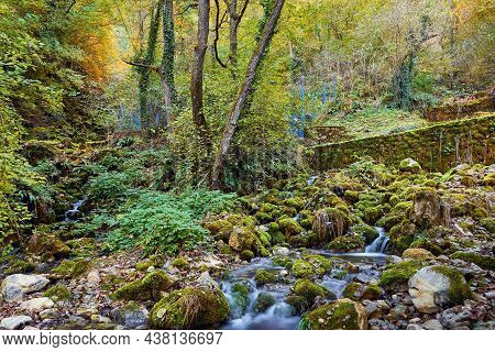 Nature rainforest river cascade.Stream in forest nature. Green forest stream nature. Nature. Stream. Nature environment. Forest nature. Brook in nature. Nature stream, branches and trees. Travel in nature. Waterfall nature