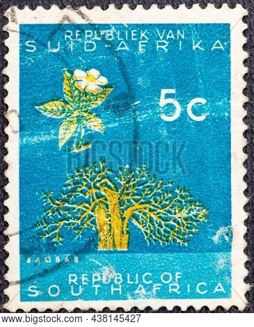 Circa 1961: A Stamp Printed In Republic Of South Africa Shows Image Of A Baobab Tree, Series, Circa 
