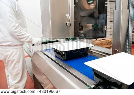 Meat Processing Plant.people Working At A Chicken Factory - Stock Photo.automated Production Line In