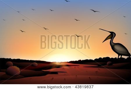 Illustration af en solnedgang på ørkenen med en flok fugle