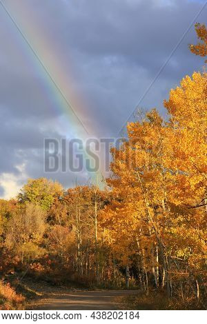 Rainbow Over Aspen Trees With Fall Color, Colorado, Usa